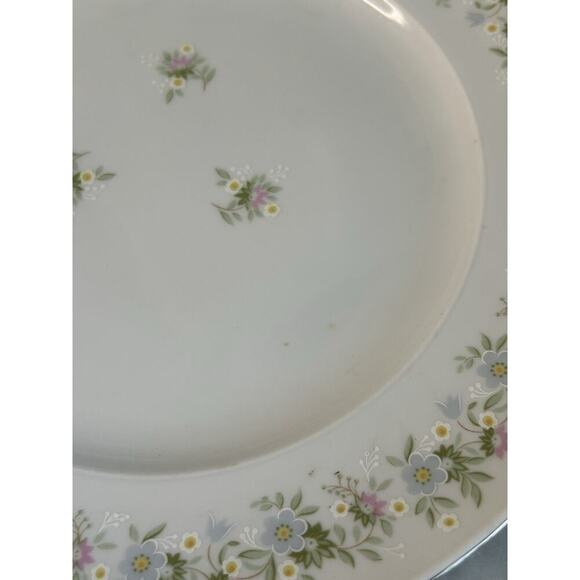4 Johann Haviland “Forever Spring” 10” Dinner Plates Porcelain Germany EUC - Picture 11 of 16